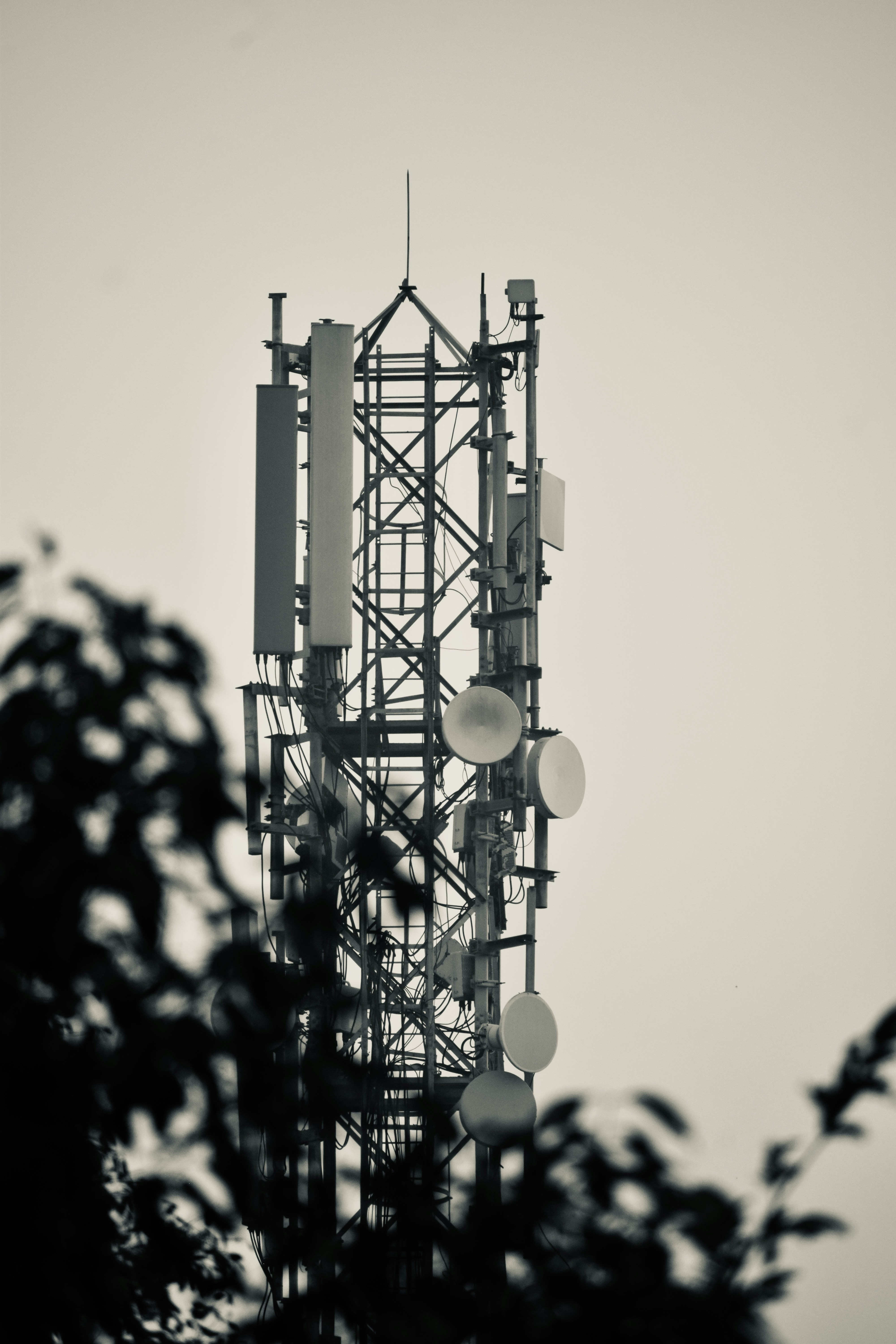 Optical Fiber & Network Infrastructure